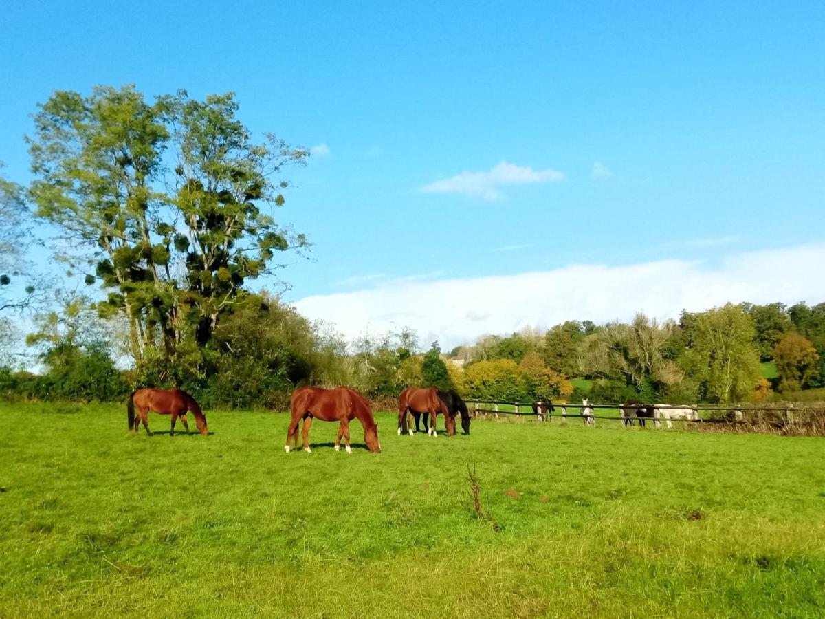 Relais Equestre Du Miloir - Chambres D'Hotes Saint-Desir Εξωτερικό φωτογραφία