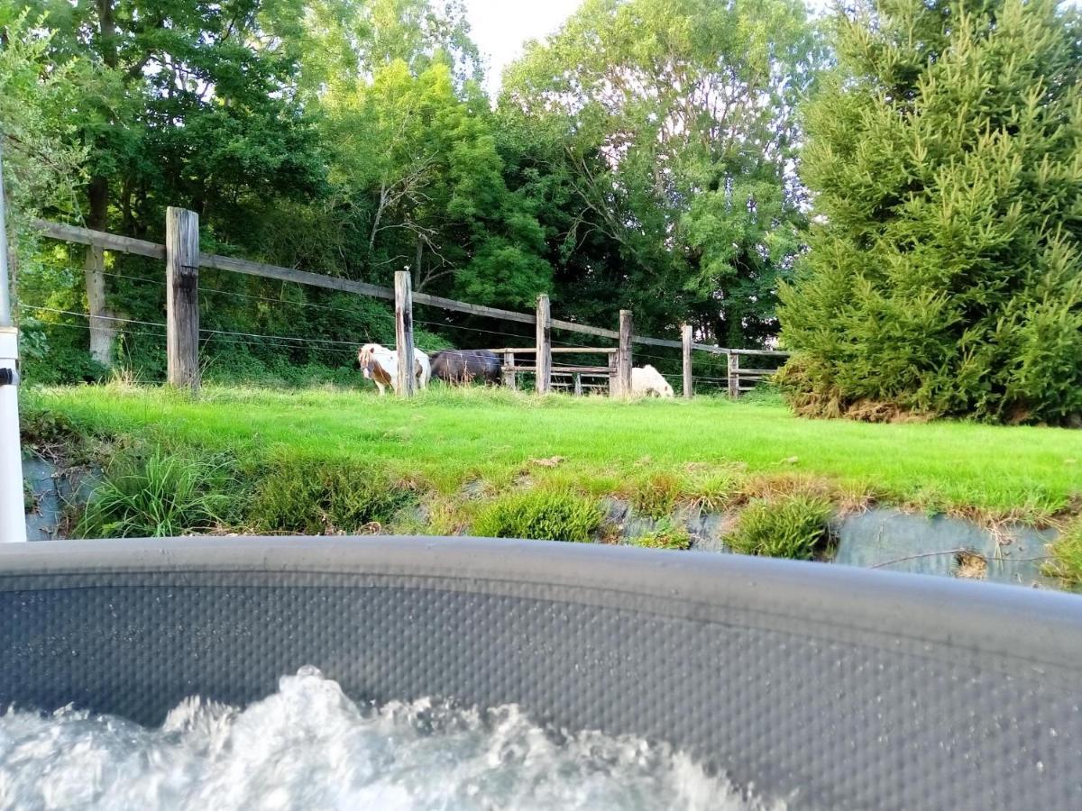 Relais Equestre Du Miloir - Chambres D'Hotes Saint-Desir Εξωτερικό φωτογραφία