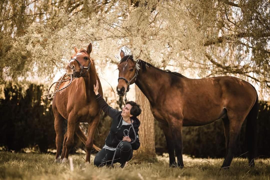 Relais Equestre Du Miloir - Chambres D'Hotes Saint-Desir Εξωτερικό φωτογραφία