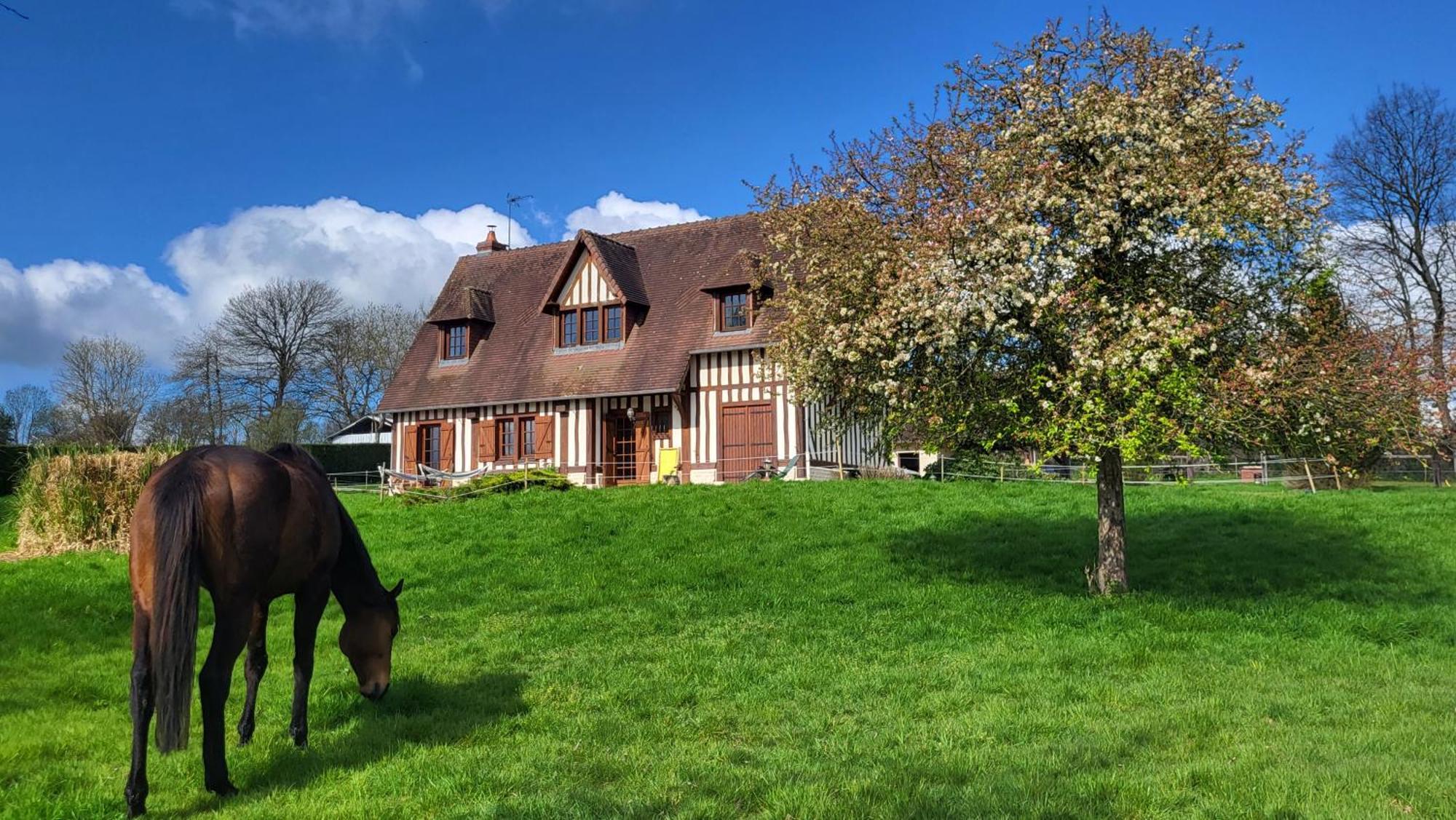 Relais Equestre Du Miloir - Chambres D'Hotes Saint-Desir Εξωτερικό φωτογραφία