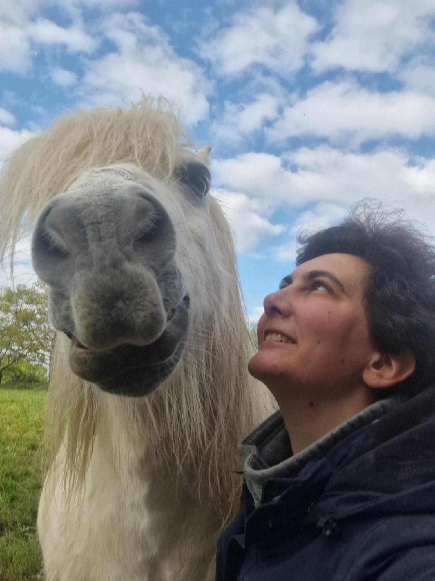 Relais Equestre Du Miloir - Chambres D'Hotes Saint-Desir Εξωτερικό φωτογραφία