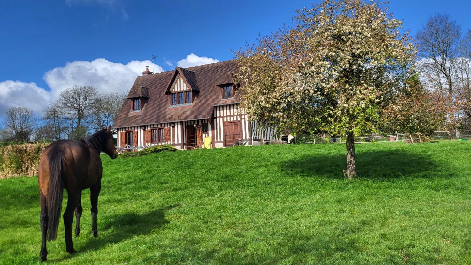 Relais Equestre Du Miloir - Chambres D'Hotes Saint-Desir Εξωτερικό φωτογραφία